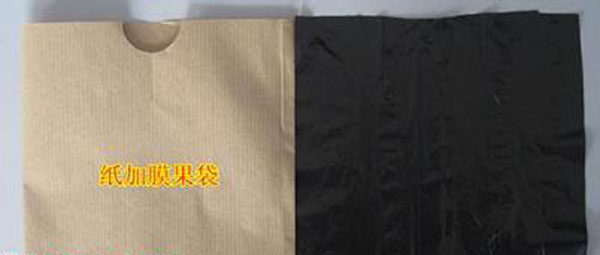 紙加膜果袋用蘋果袋紙用炭黑